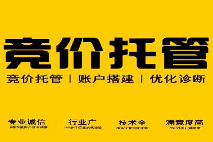 托管竞价SEM助力企业快速崛起